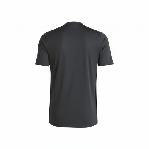 Argentina 2024 Camiseta Calentamiento - Hombre